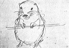 William Michael Rossetti - Wombat-Skizze, 1869